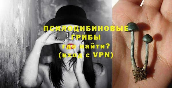прущий лед Липки