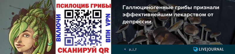 Псилоцибиновые грибы мицелий  Чехов 